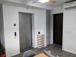 Avenue South Residence (D3), Apartment #465180811